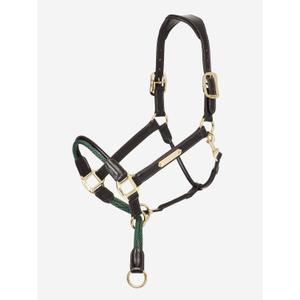 it03443-halster-voor-paarden-lemieux-rope-control-bruin