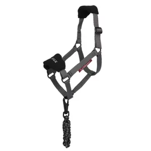 Ensemble licol et longe pour Hobby Horse LeMieux image-0