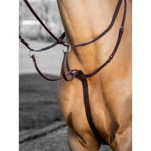 it03726-martingale-de-course-pour-cheval-lemieux-arika-havana-silver