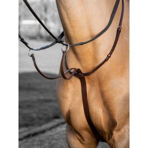 it03730-paardenrennen-martingaal-lemieux-arika-bruin-zilver