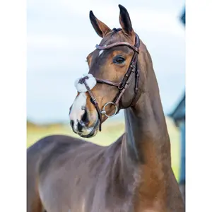 Trensen, krydset næsebånd LeMieux Arika Grackle image-1