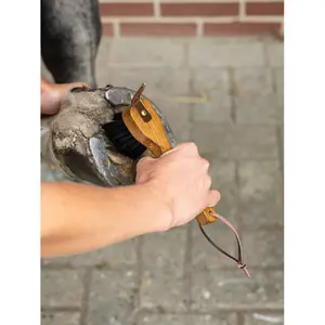 Horse hoof pick LeMieux Artisan image-2