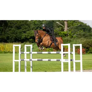 Saddle pad for horses LeMieux Puissance image-0