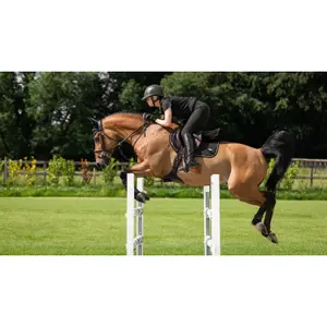 Czaprak dla koni LeMieux Puissance image-0