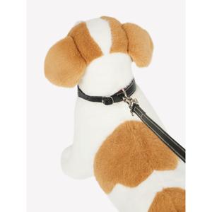 Hundhalsband och koppel för barn LeMieux image-2