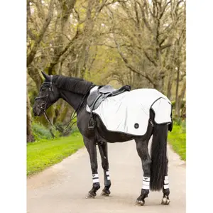 Reflective horse rugs LeMieux