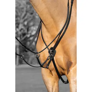 Paardenrennen martingaal LeMieux Kudos