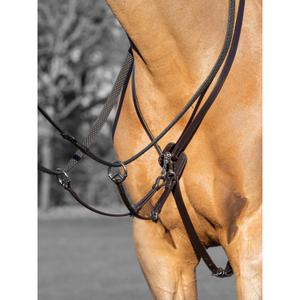 it03914-martingale-de-course-pour-chevall-lemieux-kudos-brown-silver