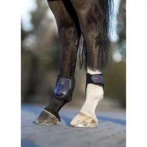 Fetlock Protectors LeMieux Derby ProJump image-0