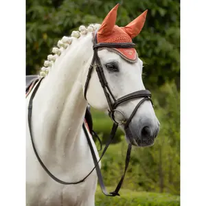Fly hat LeMieux Classic image-1
