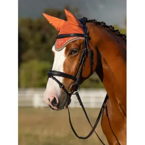 Fly hat LeMieux Classic image-3