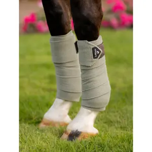 Bandas de polo para caballo LeMieux Classic (x4) image-1