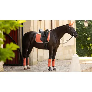 Polo wraps for horse LeMieux Classic (x4) image-2