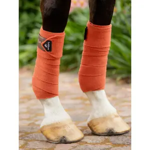 Polo wraps for horse LeMieux Classic (x4) image-3