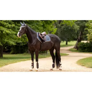 Cuscinetto da sella per cavalli LeMieux Loire Classic Close Contact Square image-3