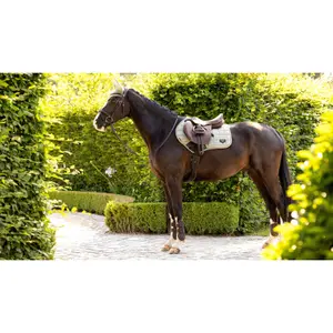 Cuscinetto da sella per cavalli LeMieux Loire Classic Close Contact Square image-1