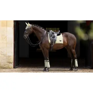 Esteira de dressage para cavalos LeMieux Loire Classic GP Square image-2