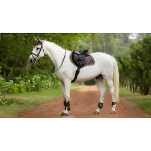 Satteldecke für Pferde LeMieux Loire Classic Close Contact Square image-1