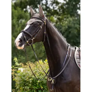 Fly mask LeMieux Loire image-2