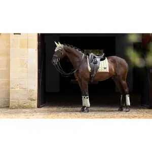 Zespoły polo dla koni LeMieux Loire image-2