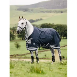 Outdoor horse blanket LeMieux Arika 0g image-2