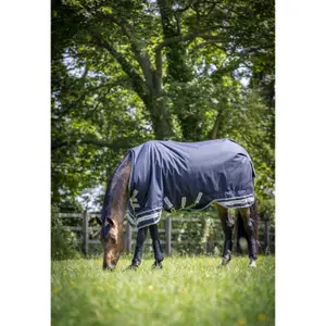Outdoor horse blanket LeMieux Arika 0g image-3