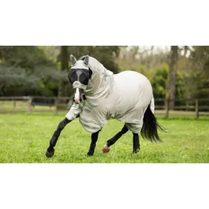 Fly Blanket with neck cover LeMieux Arika Armour-Tek image-2