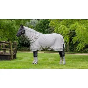 Fly Blanket with neck cover LeMieux Arika Armour-Tek