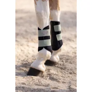 Horse gaiters LeMieux Grafter image-3