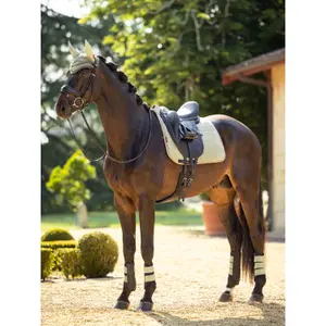Horse gaiters LeMieux Grafter image-5