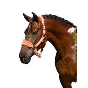 Licol pour cheval LeMieux Vogue image-2