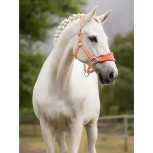 Licol pour cheval LeMieux Vogue image-3
