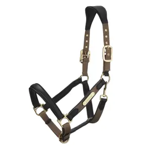 Leather horse halter LeMieux Capella image-0