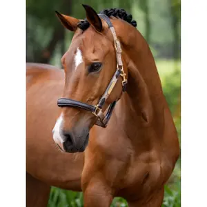 Leather horse halter LeMieux Capella image-1