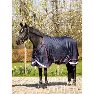 Outdoor horse blanket LeMieux Kudos Thermo Layer 100g image-1