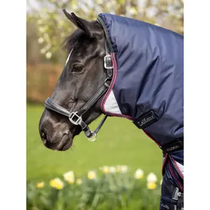 Outdoor horse blanket LeMieux Kudos Thermo Layer 100g image-2