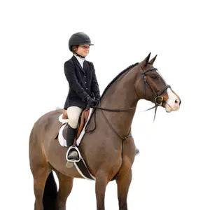 Fester Martingale für Pferde LeMieux Hunter image-1