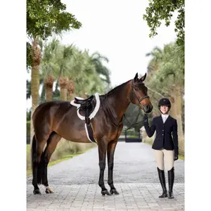 Fester Martingale für Pferde LeMieux Hunter image-3