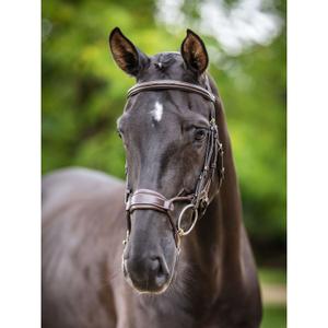 Bridles for horses LeMieux Kudos Clear Arc image-3