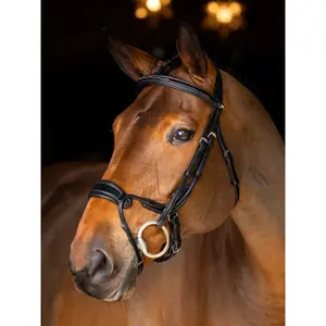 Bridles for horses LeMieux Kudos Clear Arc image-1