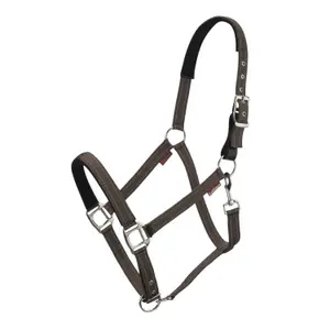 Leather halter for horse LeMieux Essential Yard image-0