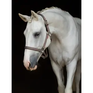 Leather halter for horse LeMieux Essential Yard image-1