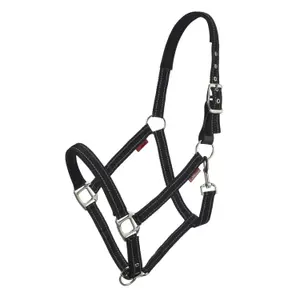 Leather halter for horse LeMieux Essential Yard image-0