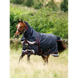 Outdoor horse blanket LeMieux Kudos Thermo Layer 300g image-1