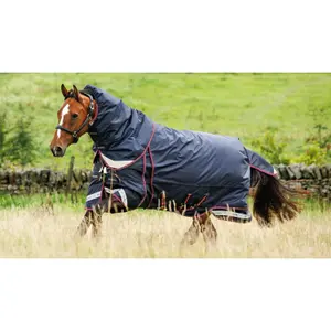 Outdoor horse blanket LeMieux Kudos Thermo Layer 300g image-2
