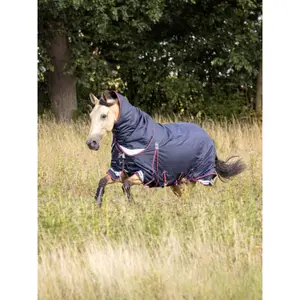Outdoor horse blanket LeMieux Kudos 50g image-2