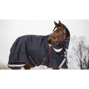 Waterproof outdoor blanket with neck cover for horse LeMieux Kudos 200g image-3