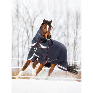 Waterproof outdoor blanket with neck cover for horse LeMieux Kudos 200g image-2