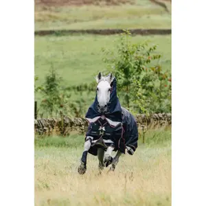 Outdoor horse blanket LeMieux Kudos 350g image-1