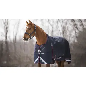 Outdoor  Blanket LeMieux Kudos 350g image-1